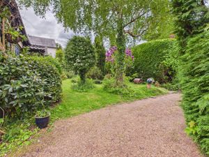 Front Garden- click for photo gallery